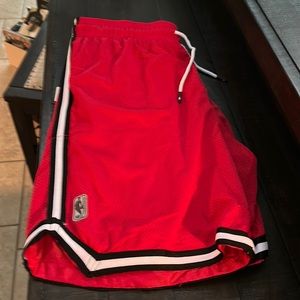 NBA Net Dry Basket Ball Shorts. Size Large. Brand New!